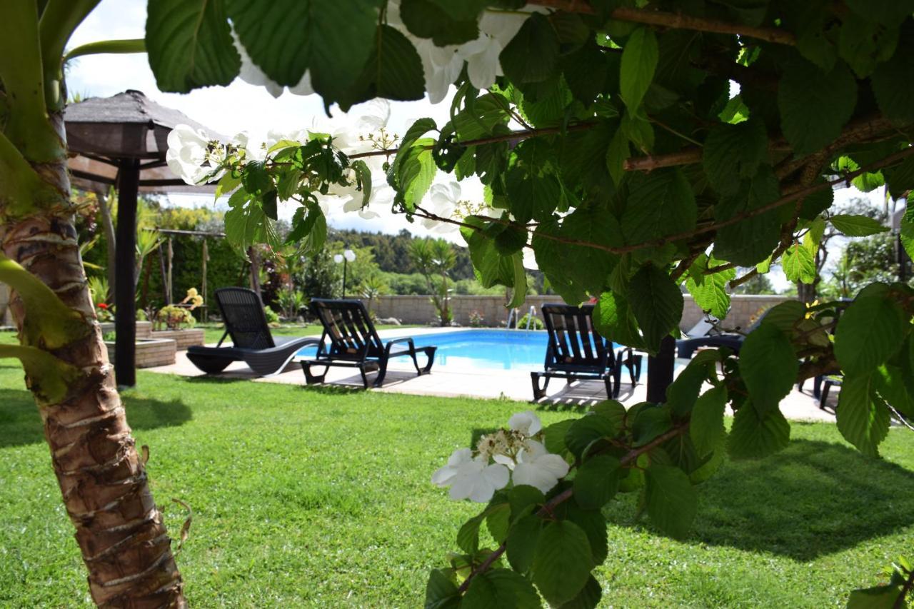 Alagoas4Family - Country House Arouca Exterior foto